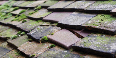 Rhydyfelin roof repair costs